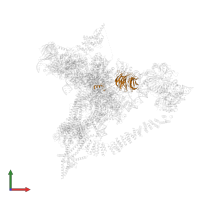 Pre-mRNA-processing factor 17 in PDB entry 6j6n, assembly 1, front view.