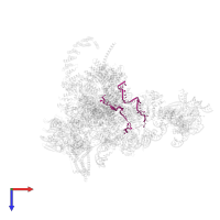 UBC4 pre-mRNA in PDB entry 6j6n, assembly 1, top view.