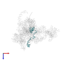 U6 snRNA in PDB entry 6j6n, assembly 1, top view.