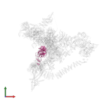 Pre-mRNA-splicing factor PRP46 in PDB entry 6j6n, assembly 1, front view.