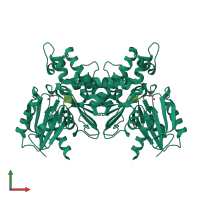 Homo dimeric assembly 1 of PDB entry 6jda coloured by chemically distinct molecules, front view.