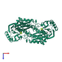 Homo dimeric assembly 1 of PDB entry 6jda coloured by chemically distinct molecules, top view.