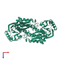 N-acetylmannosamine kinase in PDB entry 6jda, assembly 1, top view.