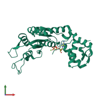 PDB entry 6jdi coloured by chain, front view.