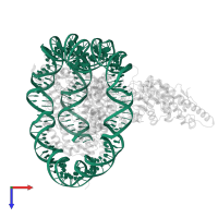 DNA I&J in PDB entry 6jma, assembly 1, top view.