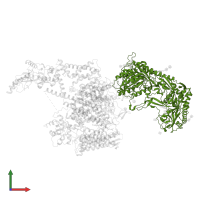 Voltage-dependent calcium channel subunit alpha-2/delta-1 in PDB entry 6jpb, assembly 1, front view.