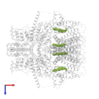 CHOLESTEROL HEMISUCCINATE in PDB entry 6jzo, assembly 1, top view.