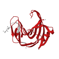 The deposited structure of PDB entry 6jzp contains 1 copy of Pfam domain PF00457 (Glycosyl hydrolases family 11) in Endo-1,4-beta-xylanase 2. Showing 1 copy in chain A.