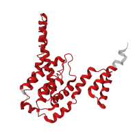 The deposited structure of PDB entry 6k1h contains 3 copies of Pfam domain PF03609 (PTS system sorbose-specific iic component) in PTS system mannose-specific EIIC component. Showing 1 copy in chain F [auth B].