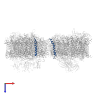 Photosystem I reaction center subunit VIII in PDB entry 6k61, assembly 1, top view.