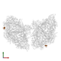 Photosystem I 4.8 kDa protein in PDB entry 6k61, assembly 1, front view.