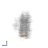 Photosystem I 4.8 kDa protein in PDB entry 6k61, assembly 1, side view.