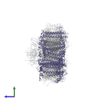 Photosystem I P700 chlorophyll a apoprotein A2 1 in PDB entry 6k61, assembly 1, side view.