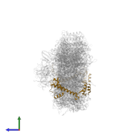 Photosystem I reaction center subunit III in PDB entry 6k61, assembly 1, side view.