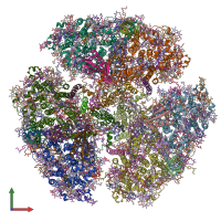 PDB entry 6kmw coloured by chain, front view.