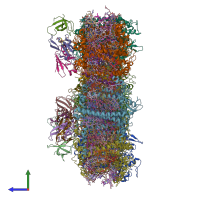 PDB entry 6kmw coloured by chain, side view.