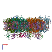 PDB entry 6kmw coloured by chain, top view.