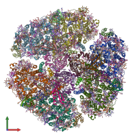 PDB entry 6kmx coloured by chain, front view.