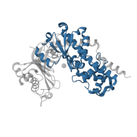 The deposited structure of PDB entry 6ksr contains 1 copy of Pfam domain PF03727 (Hexokinase) in hexokinase. Showing 1 copy in chain A.