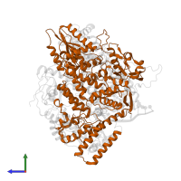 RNA-directed RNA polymerase catalytic subunit in PDB entry 6kuj, assembly 1, side view.