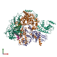 Hetero pentameric assembly 1 of PDB entry 6kut coloured by chemically distinct molecules, front view.