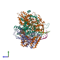 Hetero pentameric assembly 1 of PDB entry 6kut coloured by chemically distinct molecules, side view.