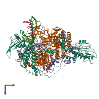 Hetero pentameric assembly 1 of PDB entry 6kut coloured by chemically distinct molecules, top view.