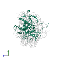 Polymerase 3 in PDB entry 6kut, assembly 1, side view.