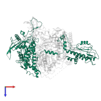 Polymerase 3 in PDB entry 6kut, assembly 1, top view.