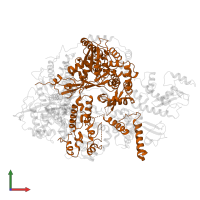 RNA-directed RNA polymerase catalytic subunit in PDB entry 6kut, assembly 1, front view.