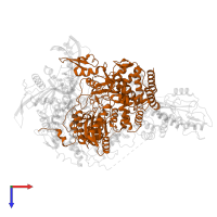 RNA-directed RNA polymerase catalytic subunit in PDB entry 6kut, assembly 1, top view.