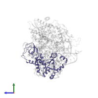 Polymerase basic protein 2 in PDB entry 6kut, assembly 1, side view.