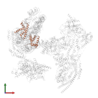 Histone H2B 1.1 in PDB entry 6kw3, assembly 1, front view.