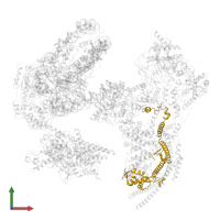 Chromatin structure-remodeling complex protein RSC6 in PDB entry 6kw4, assembly 1, front view.