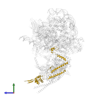Chromatin structure-remodeling complex protein RSC6 in PDB entry 6kw4, assembly 1, side view.