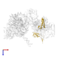 Chromatin structure-remodeling complex protein RSC6 in PDB entry 6kw4, assembly 1, top view.