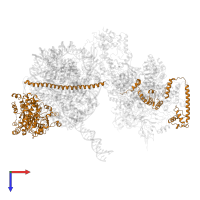 Nuclear protein STH1/NPS1 in PDB entry 6kw4, assembly 1, top view.