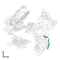 High temperature lethal protein 1 in PDB entry 6kw4, assembly 1, front view.