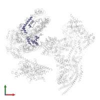 Histone H2A type 1 in PDB entry 6kw4, assembly 1, front view.