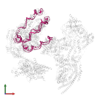 DNA 167 in PDB entry 6kw4, assembly 1, front view.