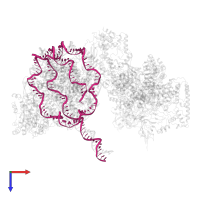 DNA 167 in PDB entry 6kw4, assembly 1, top view.