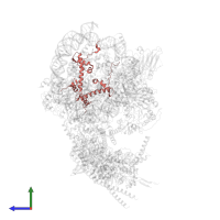 Histone H2A type 1 in PDB entry 6kw5, assembly 1, side view.