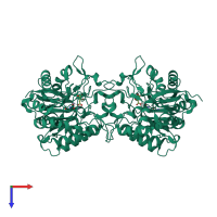 Homo dimeric assembly 1 of PDB entry 6l0a coloured by chemically distinct molecules, top view.