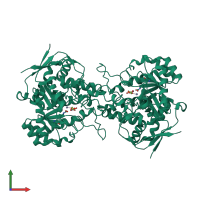 Homo dimeric assembly 2 of PDB entry 6l0a coloured by chemically distinct molecules, front view.