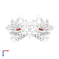 Modified residue KCX in PDB entry 6l0a, assembly 1, top view.