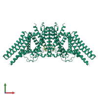 Homo dimeric assembly 1 of PDB entry 6l48 coloured by chemically distinct molecules, front view.