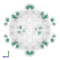 light chain variable region of Fab 14B10 in PDB entry 6lhp, assembly 1, side view.