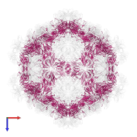 Capsid protein VP2 in PDB entry 6lhp, assembly 1, top view.