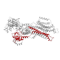 The deposited structure of PDB entry 6lly contains 1 copy of Pfam domain PF00122 (E1-E2 ATPase) in Sarcoplasmic/endoplasmic reticulum calcium ATPase 2. Showing 1 copy in chain A.