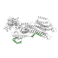 The deposited structure of PDB entry 6lly contains 1 copy of Pfam domain PF00690 (Cation transporter/ATPase, N-terminus) in Sarcoplasmic/endoplasmic reticulum calcium ATPase 2. Showing 1 copy in chain A.